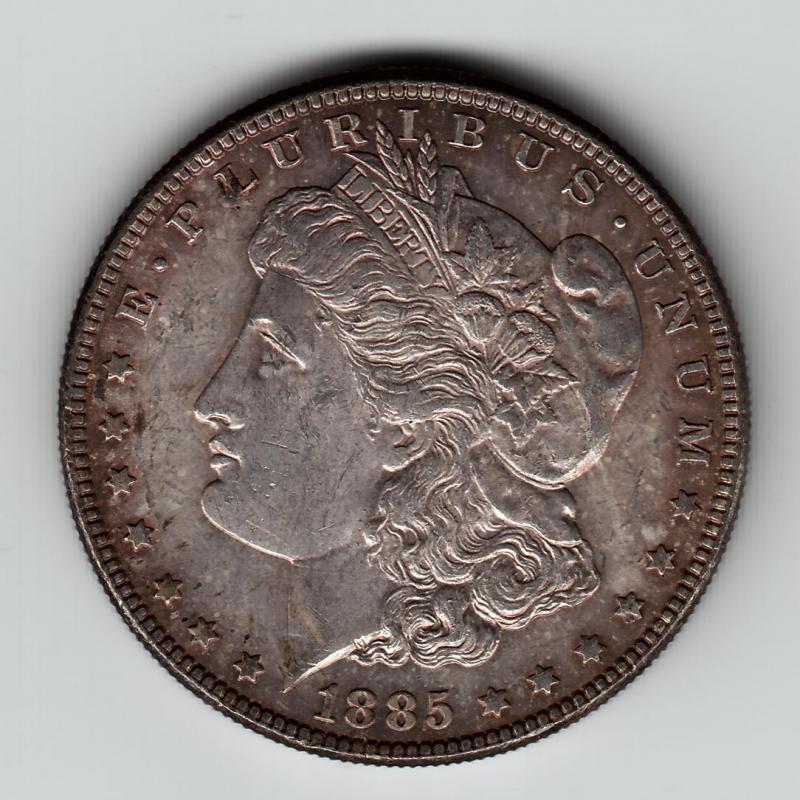  ( Collection # 19 )Morgan Dollar 1885 No Reserve You Grade