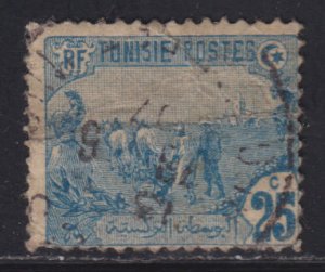 Tunisia 39 Field Plowing 1906