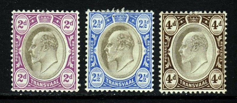 TRANSVAAL King Edward VII 1904 Wmk Multiple Crown CA Group SG 262 to SG 265 MINT