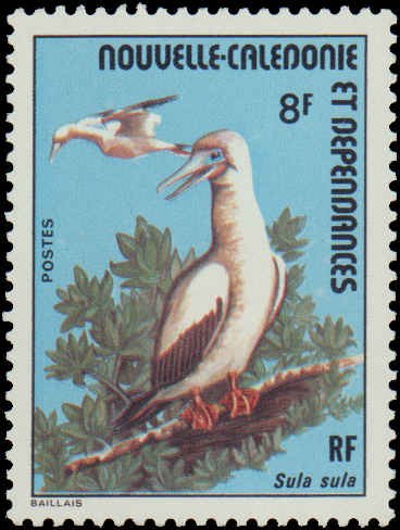 New Caledonia  #413-415, Complete Set(3), 1976, Birds, Hinged