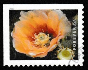 SC# 5350 - (55c) - Cactus Flowers: 1 of 10 - Used Single Off Paper