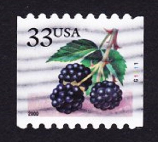 US #3406 Berries Used PNC Single plate #G1111