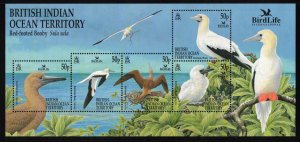 BIOT 2002 Red-footed Booby Sheet; Scott 244, SG 266; MNH