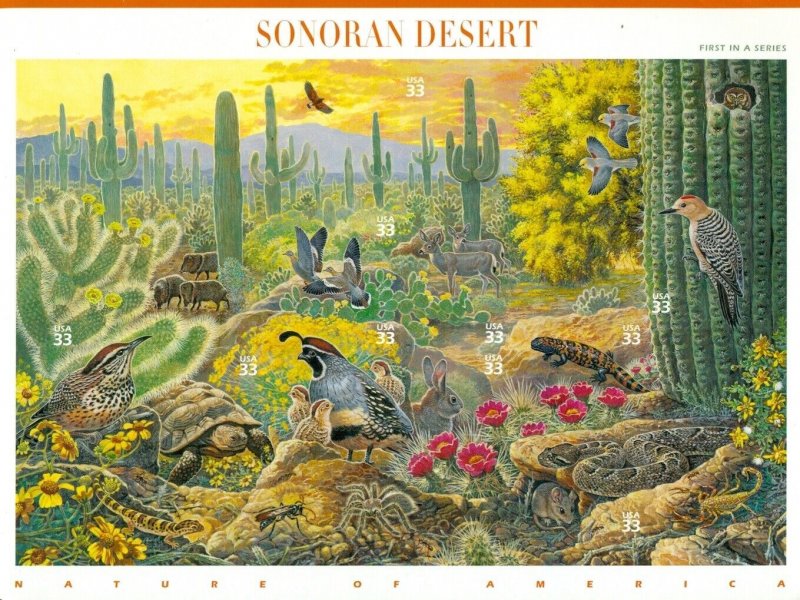 US 1999 Nature of America Sonoran Desert Sheet of 10 33 Cent Stamps MNH Sc 3378