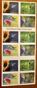 US # 5848 Garden Delights booklet of 20 forever 2024 Mint NH