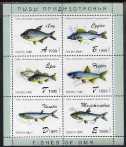 TRANSDNISTRIA - 1999 - Fish of PMR - Perf 6v Sheet - Mint Never Hinged