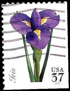 # 3903 USED IRIS