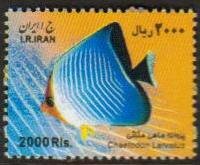 Iran MNH Scott #2994 Fish large size 2000 Rial Free Shipping