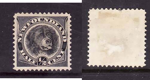 Newfoundland-Sc #58- id 7-unused,no gum 1/2c black-Dogs-1894-nicely centered-cre