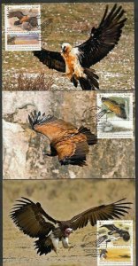 JUDAICA - ISRAEL Sc # 1969-71 SET of 3 MAXIMUM CARDS for ENDANGERED VULTURES