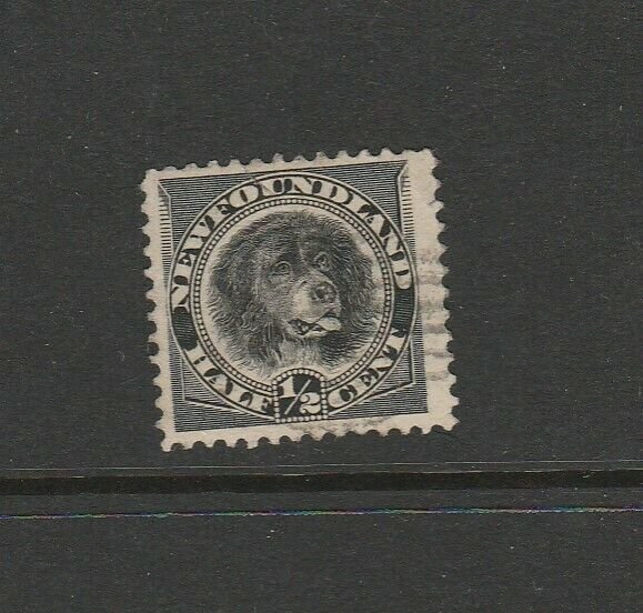 Newfoundland 1894 1/2c Black FU SG 59