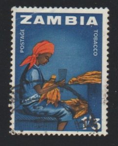 Zambia 12 Tobacco
