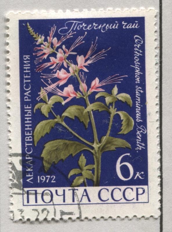 Russia 3956   Used    