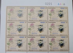 O) 2021 URUGUAY, TRIFOLIUM PRATENSE BOMBUS BELLICOSUS, BUMBLEBEE - INSECT, BENEF