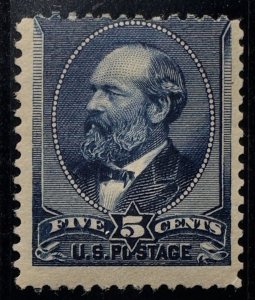 US Scott #216 MINT RG