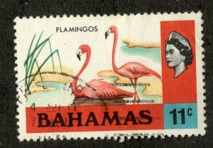 BAHAMAS 322 USED SCV $2.75 BIN $1.10 BIRDS