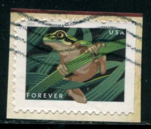 5398 US (55c) Frogs - Squirrel Tree Frog SA, used on paper