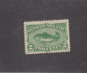 NEWFOUNDLAND LOT(KK89) # 46 VF-MH 2cts CODFISH CAT VALUE $100