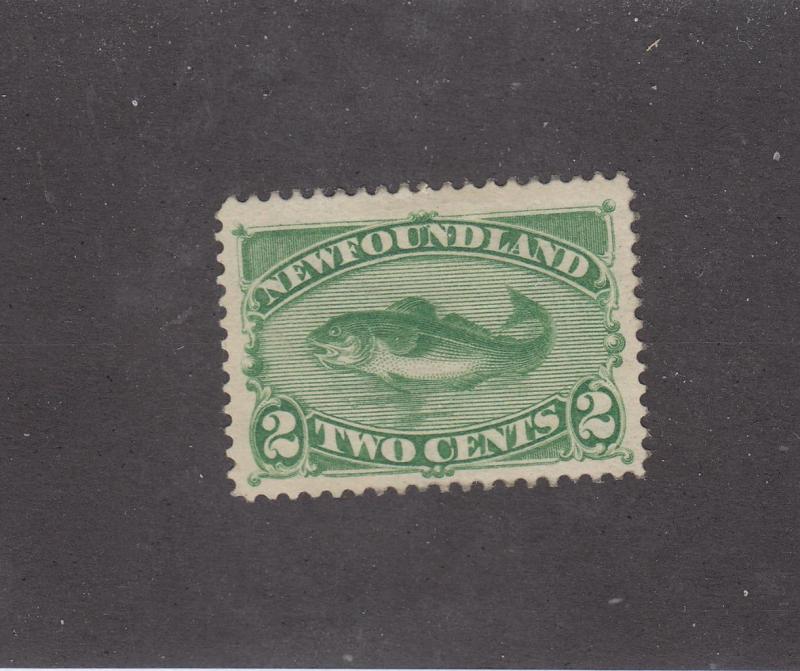 NEWFOUNDLAND LOT(KK89) # 46 VF-MH 2cts CODFISH CAT VALUE $100