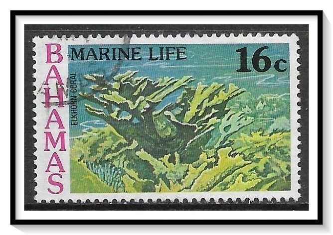 Bahamas #408 Marine Life Used