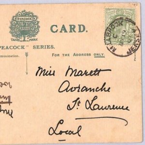 GB Channel Islands JERSEY Postcard *MILLBROOK* CDS 1907{samwells-covers}ZJ114