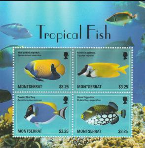 MONTSERRAT   Tropical Fish