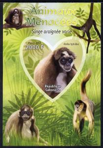 Gabon 2012 Endangered Species - Brown Spider Monkey imper...