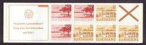 Suriname-Sc#C75a-unused NH complete airmail booklet-1976-78-