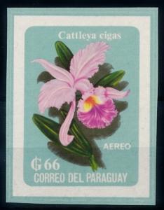 [66217] Paraguay 1963 Flora Flower Blume Airmail NO GUM Imperf.