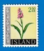 ICELAND SCOTT#394 1968 2.50kr ORCHIS MACULATA FLOWER - MNH