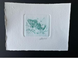 Belgium 1990 COB 2383 Artist's Proof Fish Fisch Green Perch-