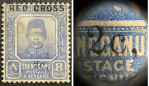 MALAYA 1917 RED CROSS opt TRENGGANU 2c+8c MLH 2c COMMA SG#22a M3158