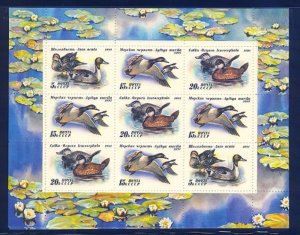 RUSSIA - SC# 6011a BIRDS/DUCKS - SHEET OF 9 STAMPS - MNH