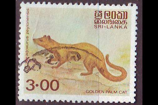 CEYLON SRI LANKA [1981] MiNr 0545(B) ( O/used ) Tiere