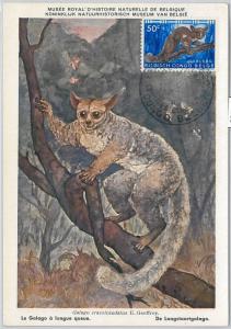 52189  - Belgian CONGO BELGE  -  FDC  MAXIMUM CARD - 1956  ANIMALS: bushbabies