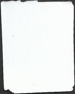 # 4937 Used Winter Fun Skaters