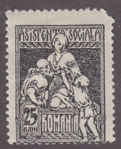 Romania RA14 Postal Tax Stamp 1924