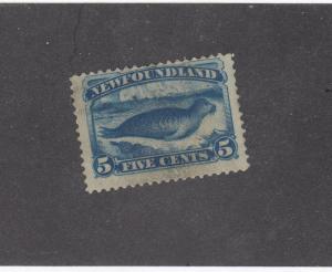 NEWFOUNDLAND LOT # 53 FVF-MNG 5cts HARP SEAL CAT VALUE $200