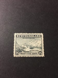 Newfoundland sc 197 MH