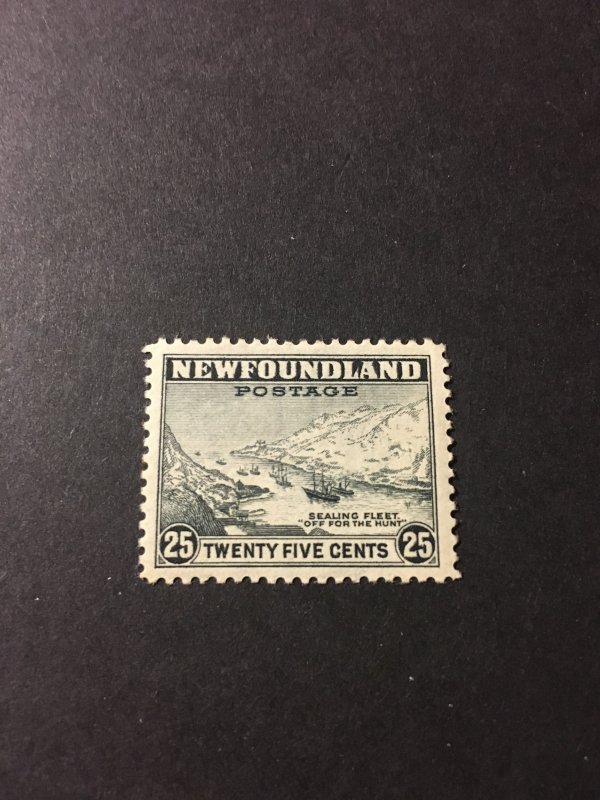 Newfoundland sc 197 MH