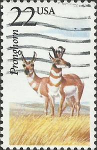 # 2313 USED PRONGHORN