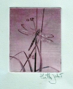 Sweden 1979 dragonfly stamp engraving signed Zlatko Jakus Scott 1295