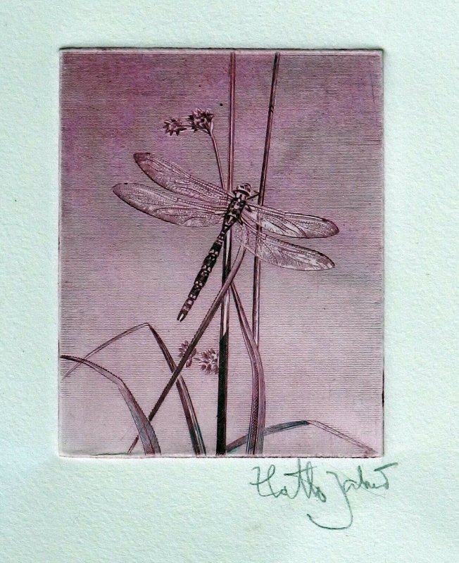 Sweden 1979 dragonfly stamp engraving signed Zlatko Jakus Scott 1295