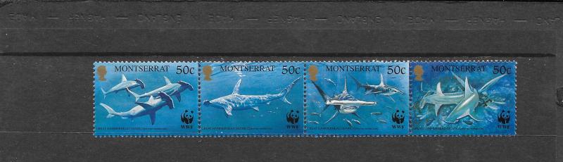 WWF - MONTSERRAT-SHARKS #998 MNH