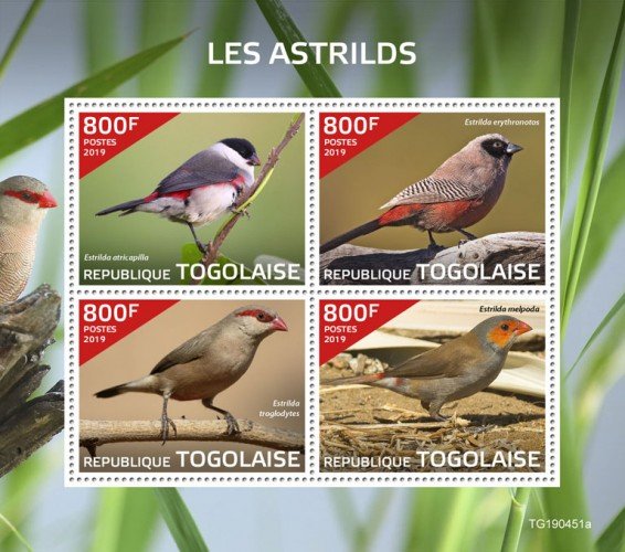 Stamps of Togo 2019. - Waxbills (Estrilda atricapilla; Estrilda erythronotos; Es