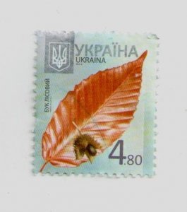 2012 Ukraine, stamp Forest beech, 8th issue standards,  Flora, plants, USED