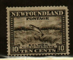 Newfoundland #193 used Salmon