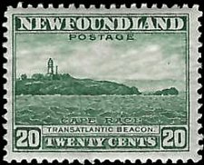 NEWFOUNDLAND   #263 MH (2)