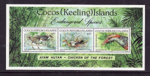 Cocos (Keeling) Is.-Sc#263-unused NH sheet-Birds-WWF-1992-