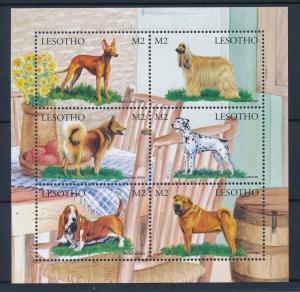 [35704] Lesotho 1999 Animals Dogs MNH Sheet